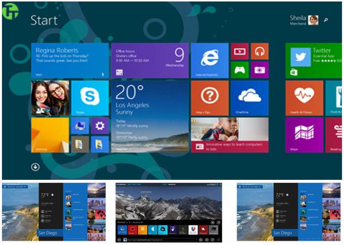 SATZ Produkt-Schlüssel-Windows 8,1 Probit Soems 64 englisch/Franzosen für Microsoft Office
