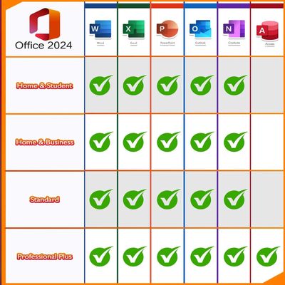 Microsoft Office 2024 Pro Plus License for Businesses