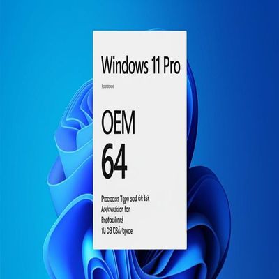 Windows 11 Pro OEM X86 64 Processor Type and 64-bit Architecture for Professional 16 GB Disk Space