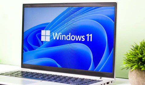 Windows 11 Pro OEM Englisch 64-Bit - Business-Funktionen mit permanenter digitaler Lizenz