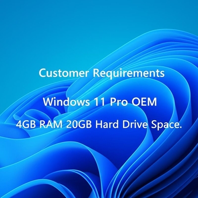 Kundenanforderungen Windows 11 Pro OEM 4 GB RAM 20 GB Festplatte