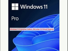 Windows 11 Enterprise Edition, BitLocker und virtueller Desktop