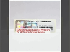 Mehrsprachige Unterstützung Windows 10 Pro OEM-Lizenz Dauer