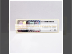 Microsoft Windows 11 Professional OEM Lizenz Schlüssel Global Digital Download